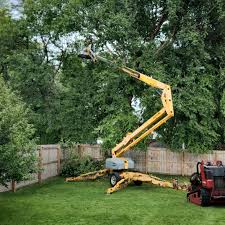 How Our Tree Care Process Works  in Caledonia, MS